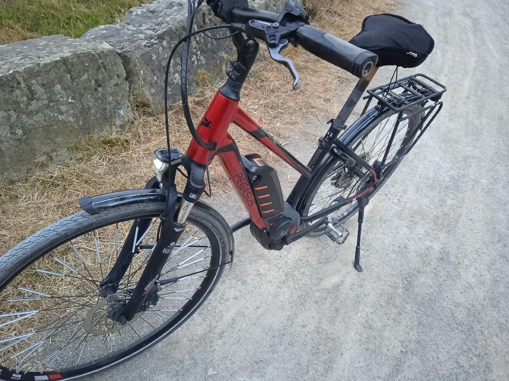 E-Bike Pegasus premio E10 - Top Zustand