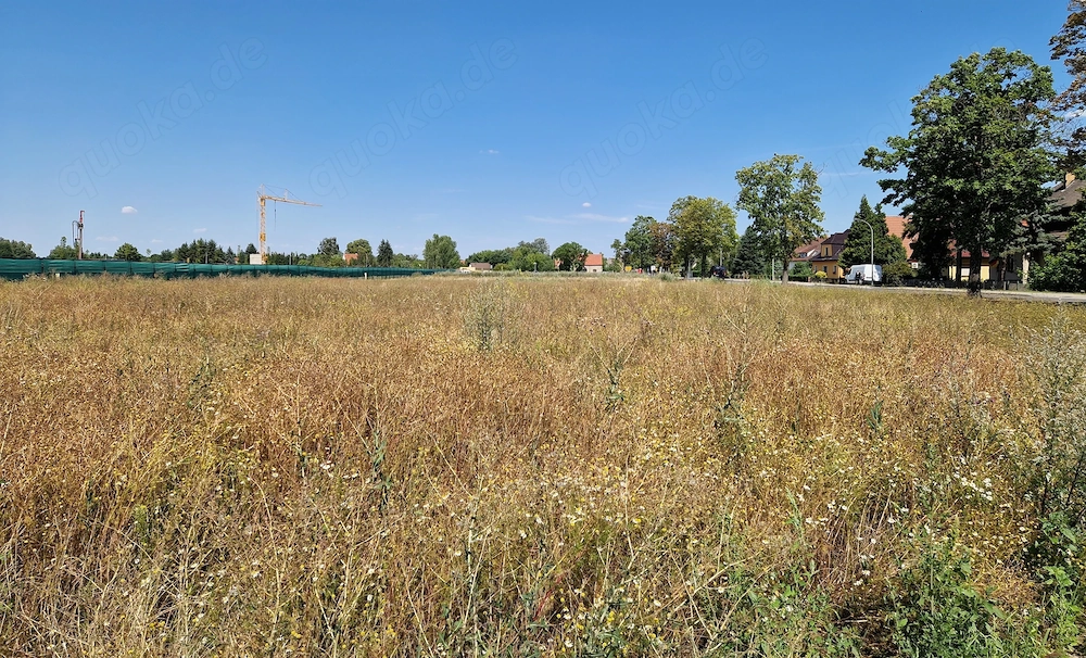 Bauland im Oderbruch ab ca. 600 m    25   m    provisionsfrei