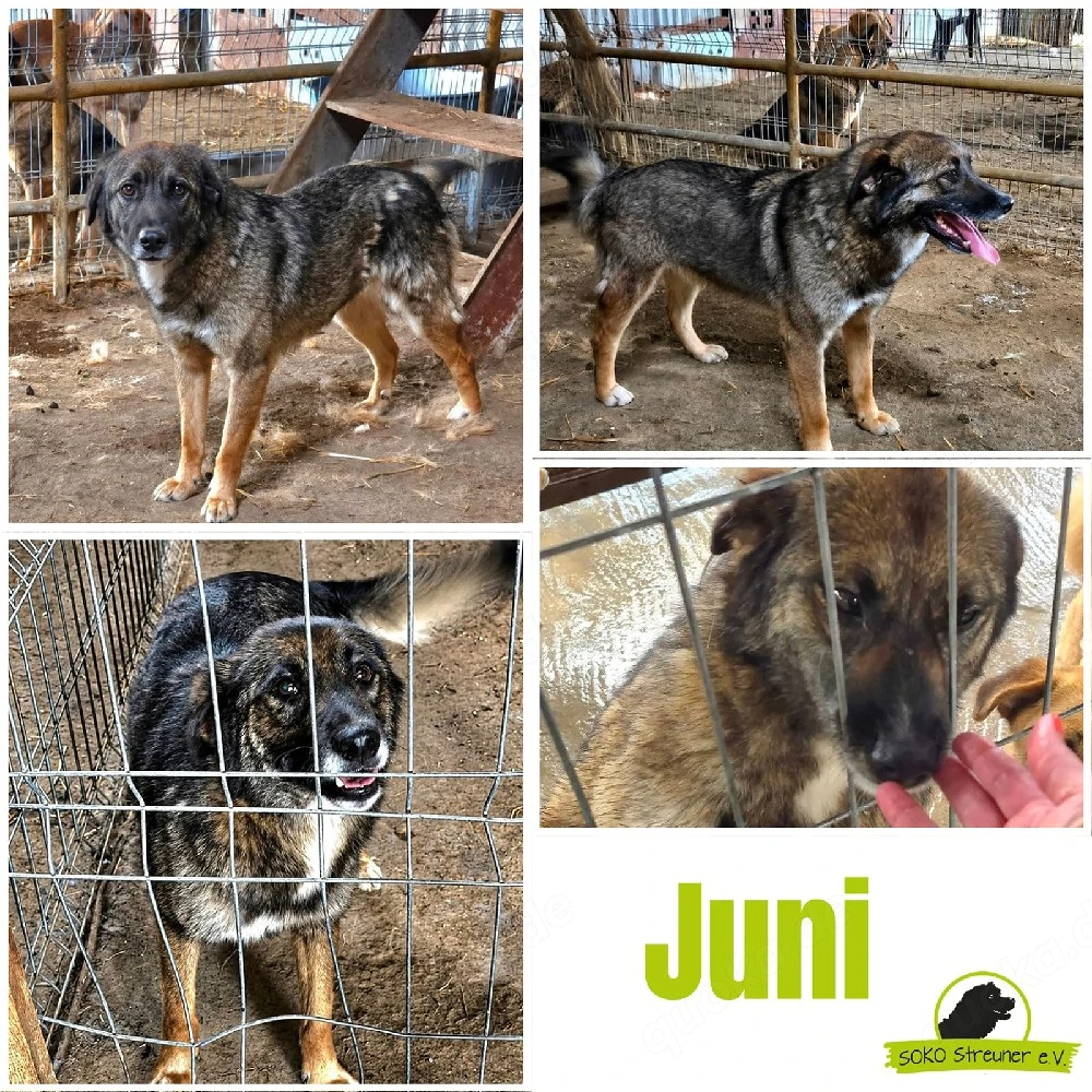 Juni ist bereit für dich!