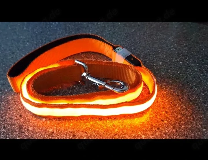 Led Leine Orange 