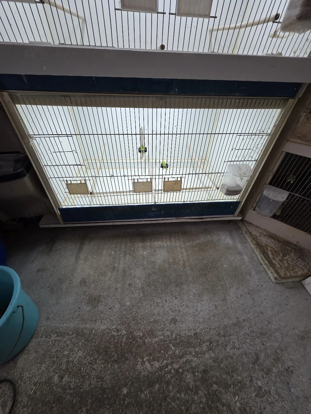 Graf Zuchtboxen vögel