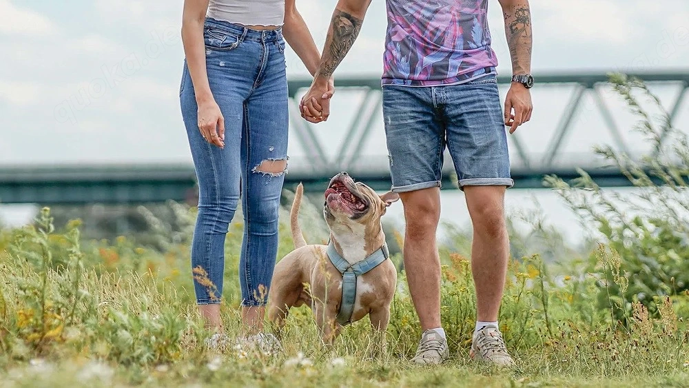    Familien für ein kostensloses Fotoshooting gesucht 