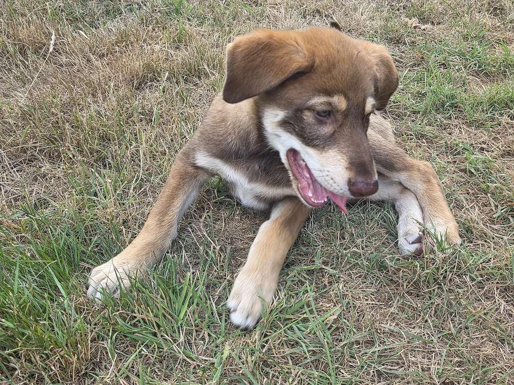 Bonny wartet darauf endlich von ihrer Familie gefunden zu werden 