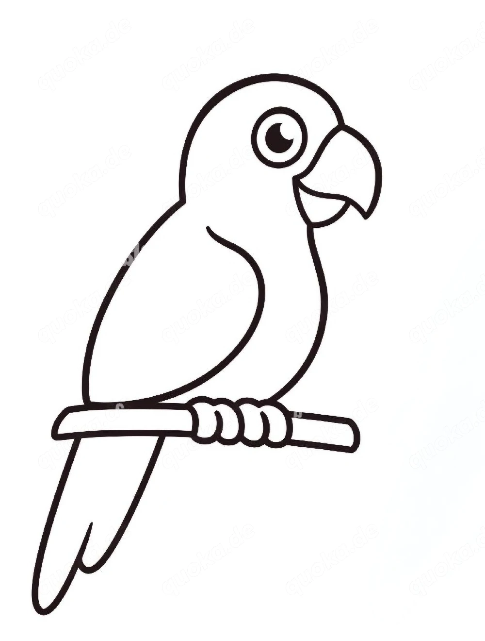 Glanzsittich gesucht