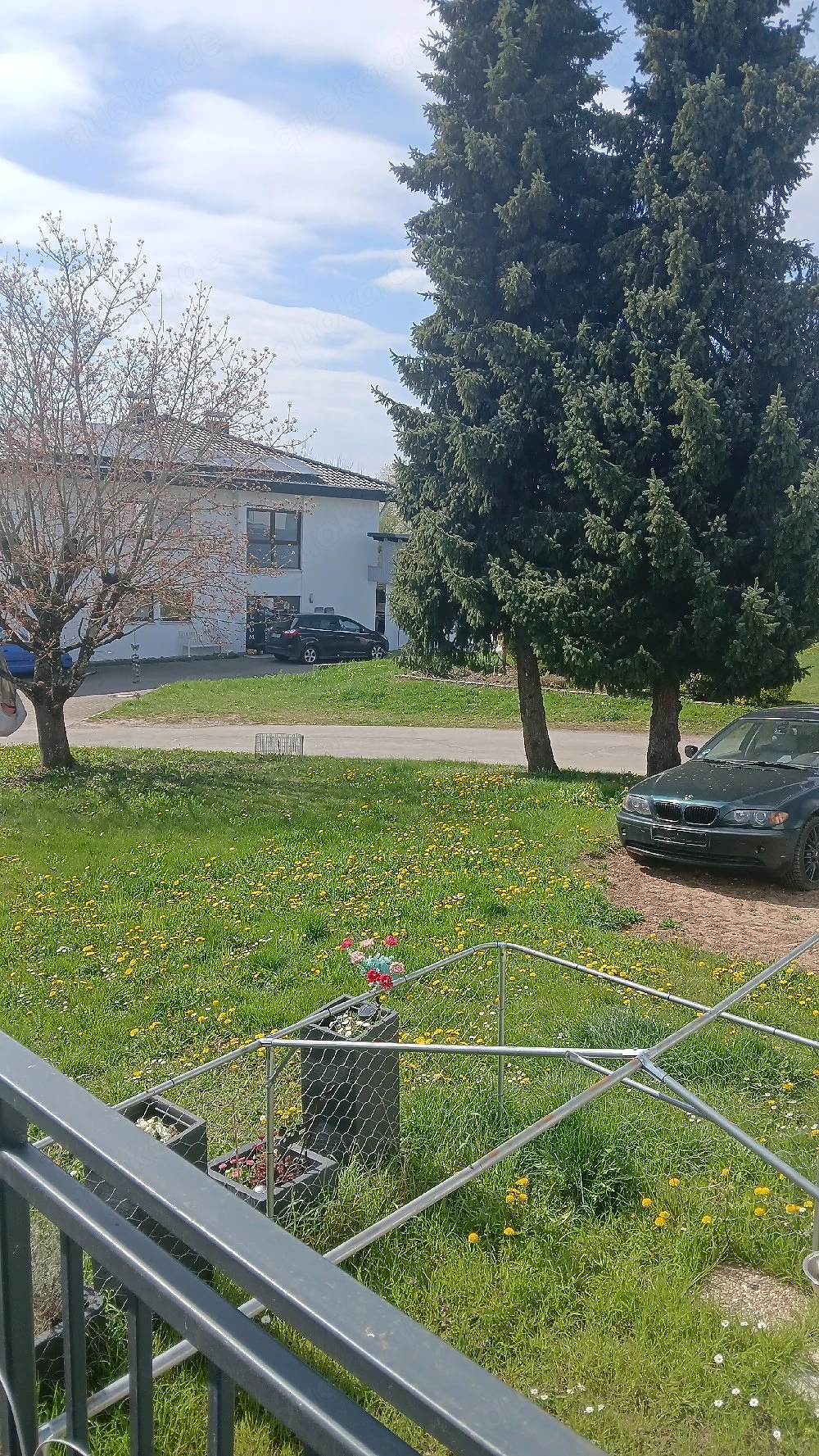 Bmw  xd330 e 46 mit Tüv