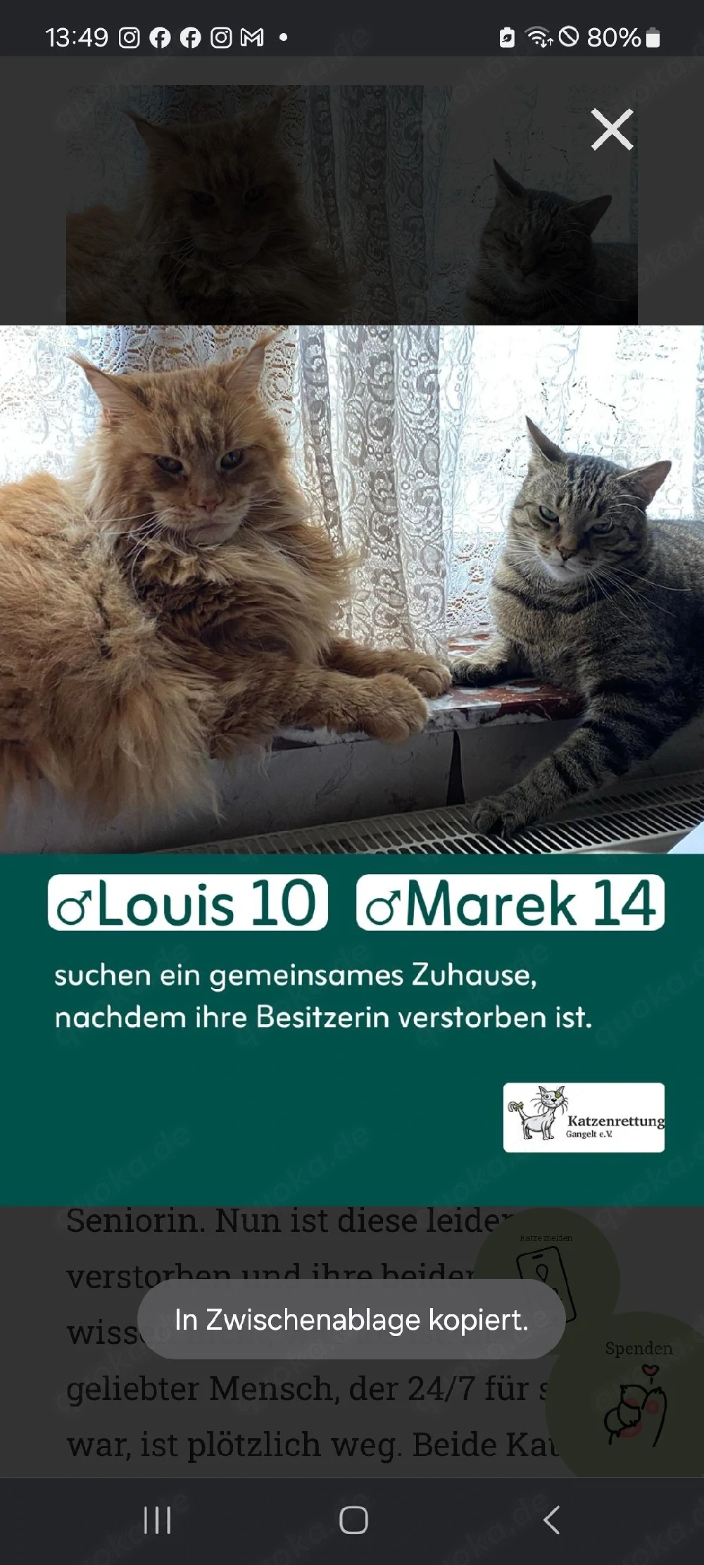 Louis und Marek 