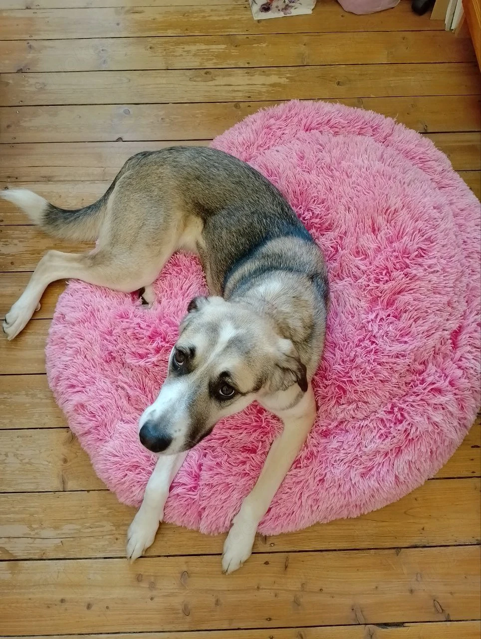 Hundekissen Rosa Wolke XL, 100 cm