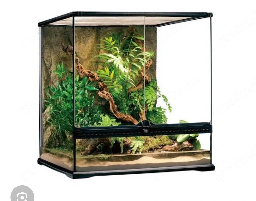 SUCHE 60x45x60 terrarium