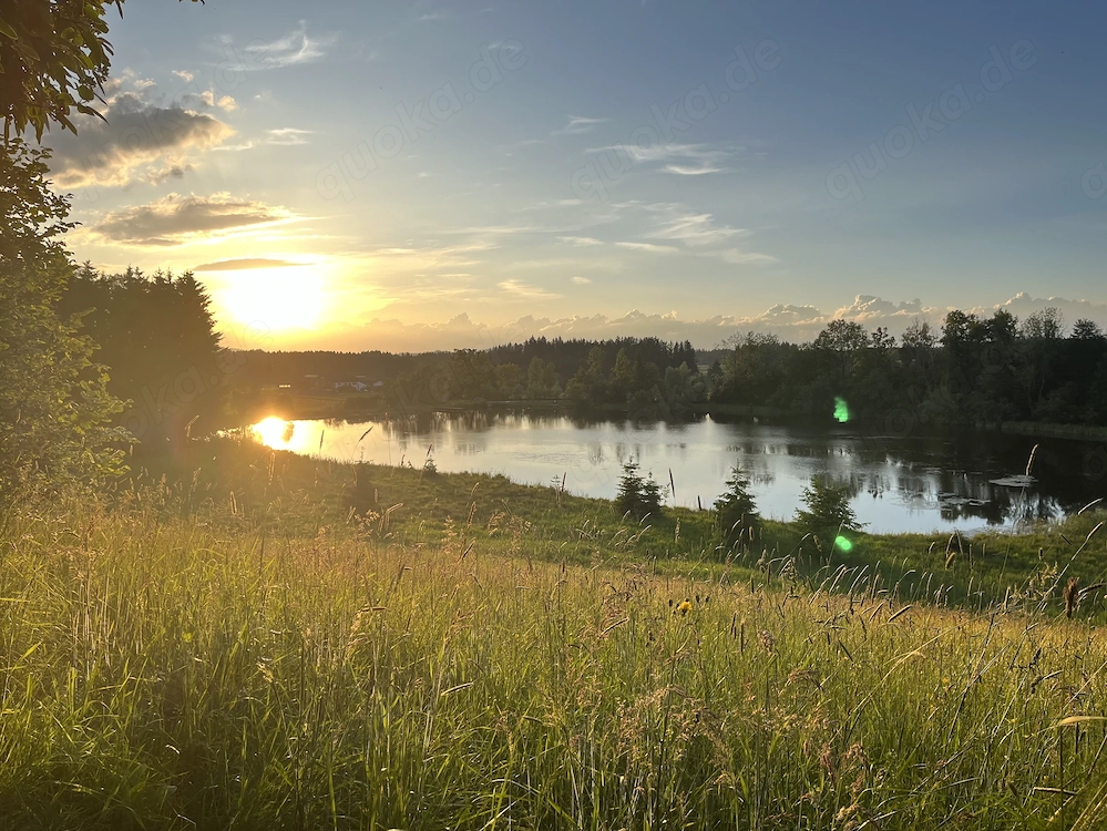 778 qm Traumgrundstück am Bismarckweiher | unverbaubar | provisionsfrei