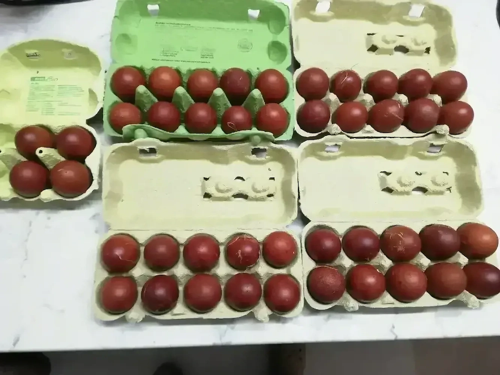 Bruteier Marans schwarz-kupfer 