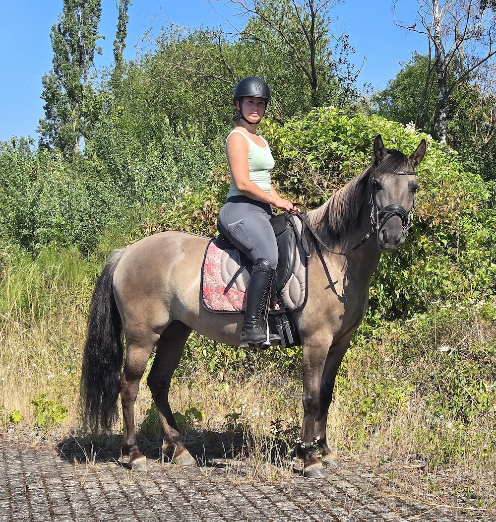 Tolle Stute 