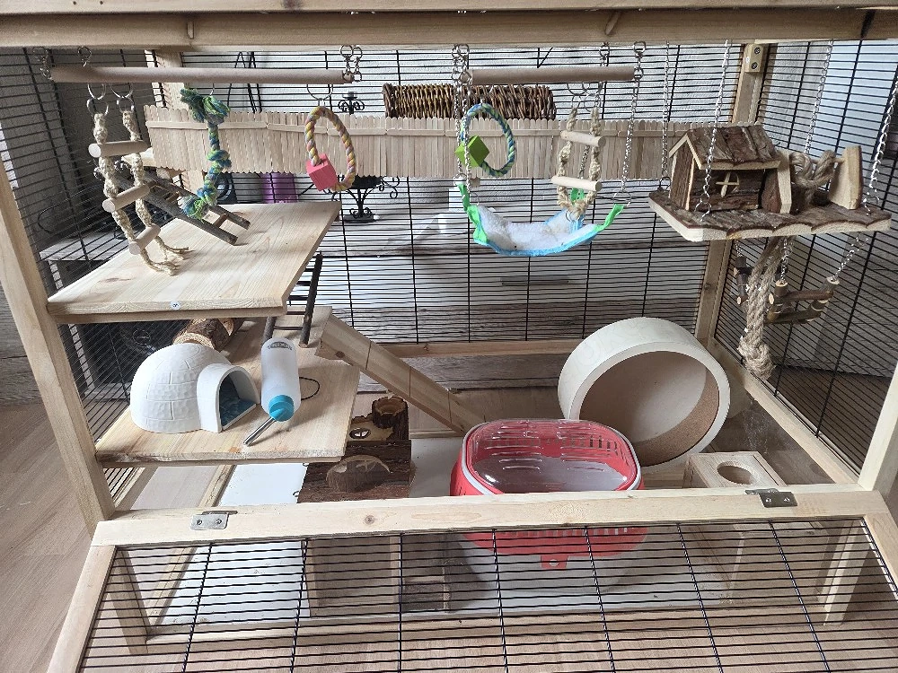 Mäuse Nagarium Gehege