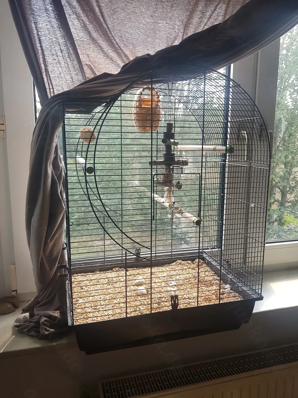 Vögel Käfig 