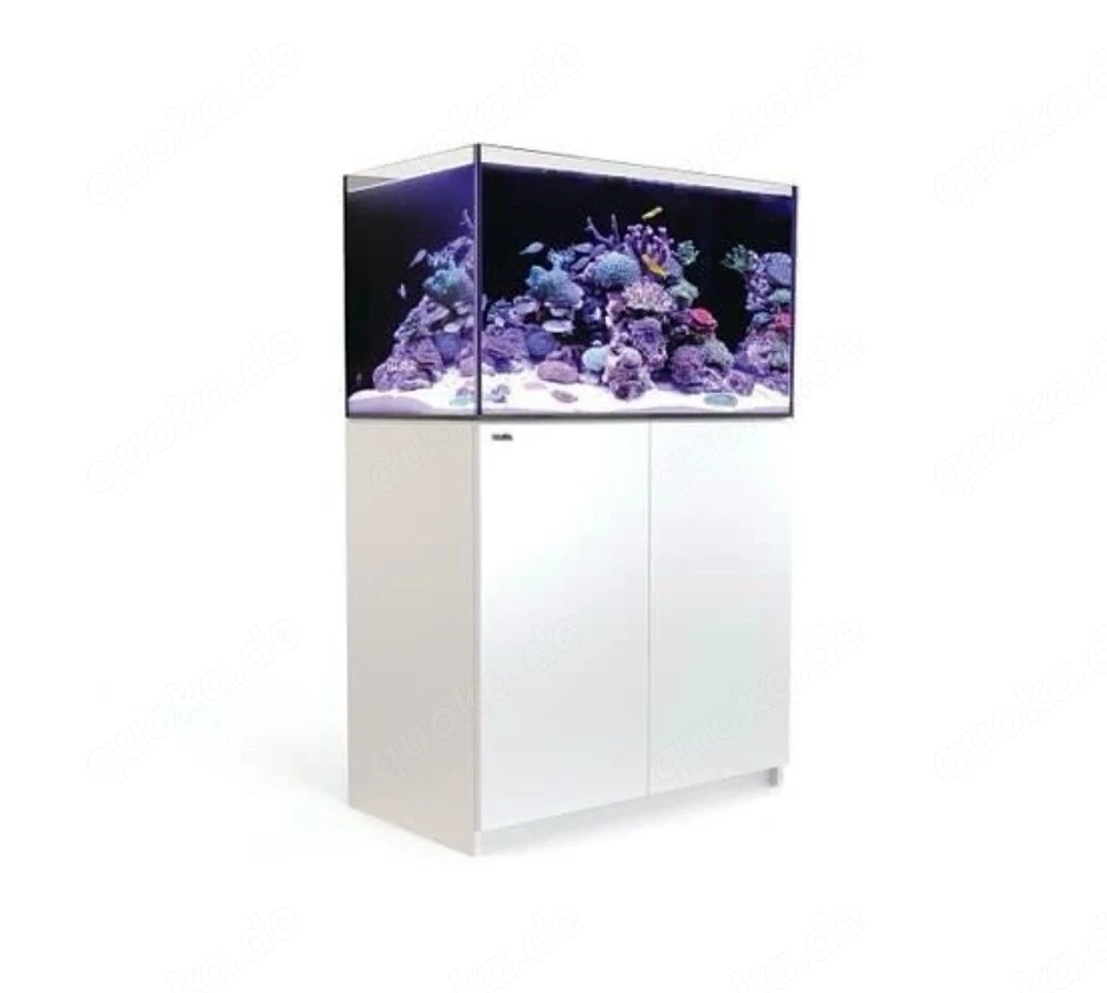 Red Sea Reefer 250 G2+   Meerwasseraquarium