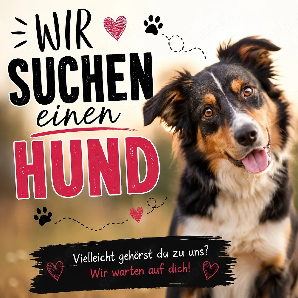 Familie sucht Hund fürs Leben 