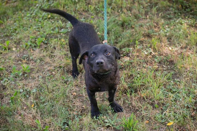 *MOSES* Ich bin lieb, neugierig und verspielt, und ich genieße momentan mein neues Leben 