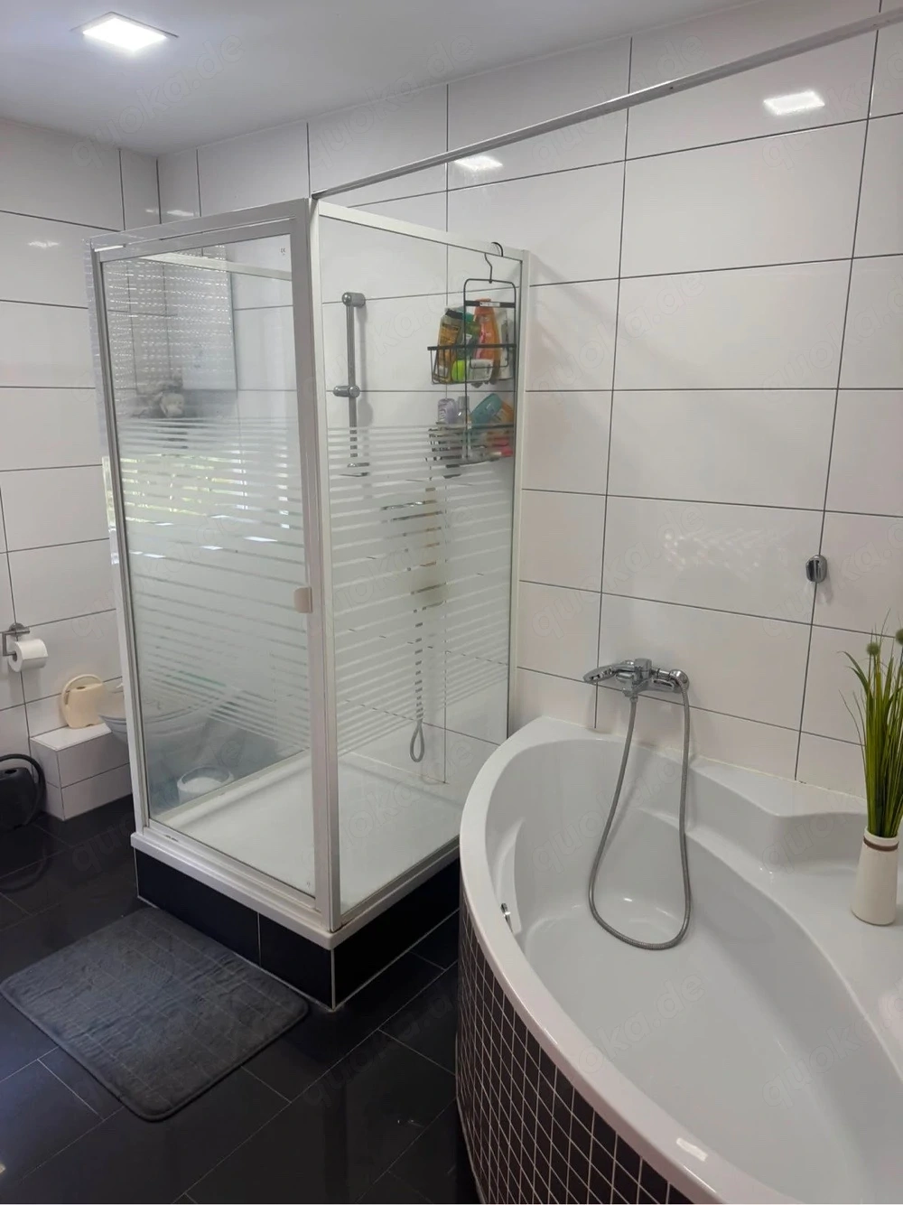 Moderne helle 3 ZKB City Wohnung Frankenthal ab 01.09.2026 frei!!