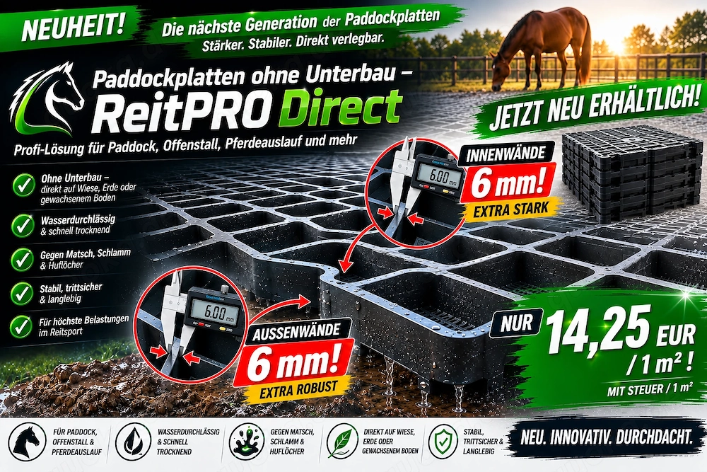 Paddockplatten & Rasengitter kaufen, ideale Paddockgitter ReitPRO Direct 40