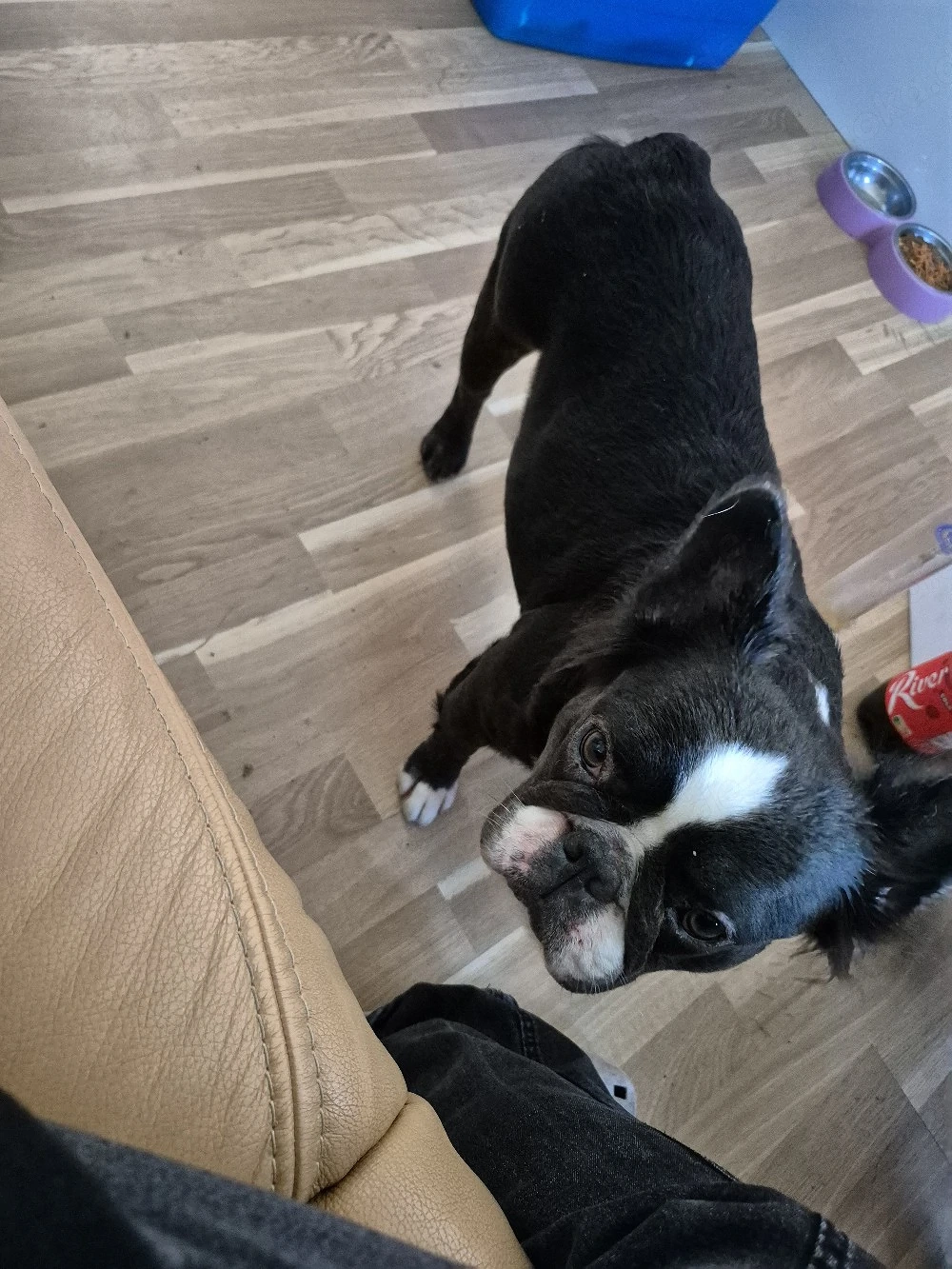 kuschelmaus mädchen 