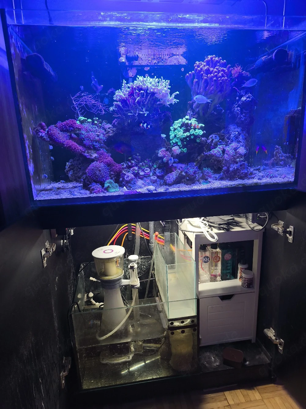Meerwasseraquarium komplett 
