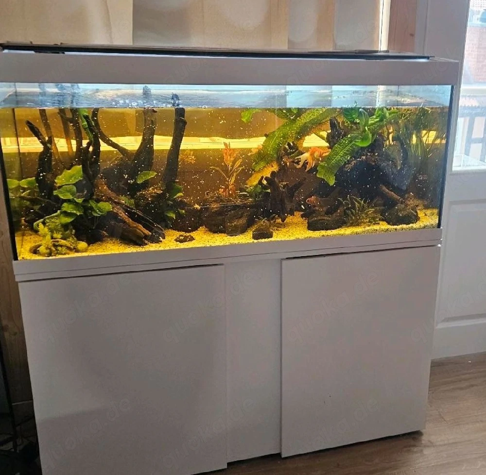 Aquarium komplett sett 