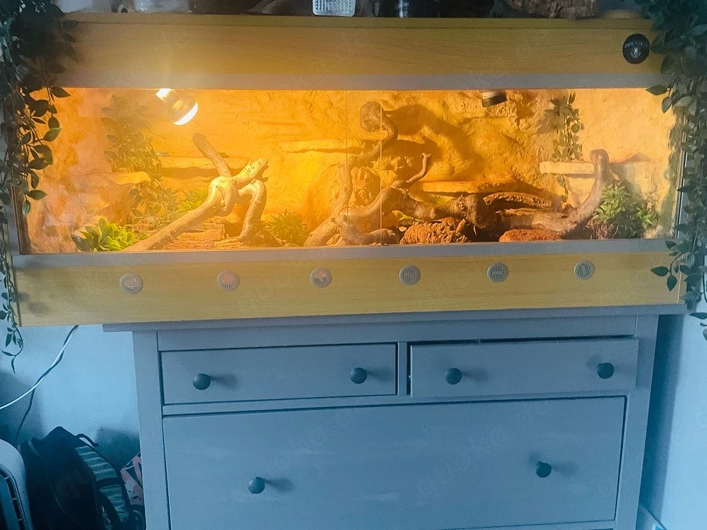 terrarium 120x60x60 dringend!