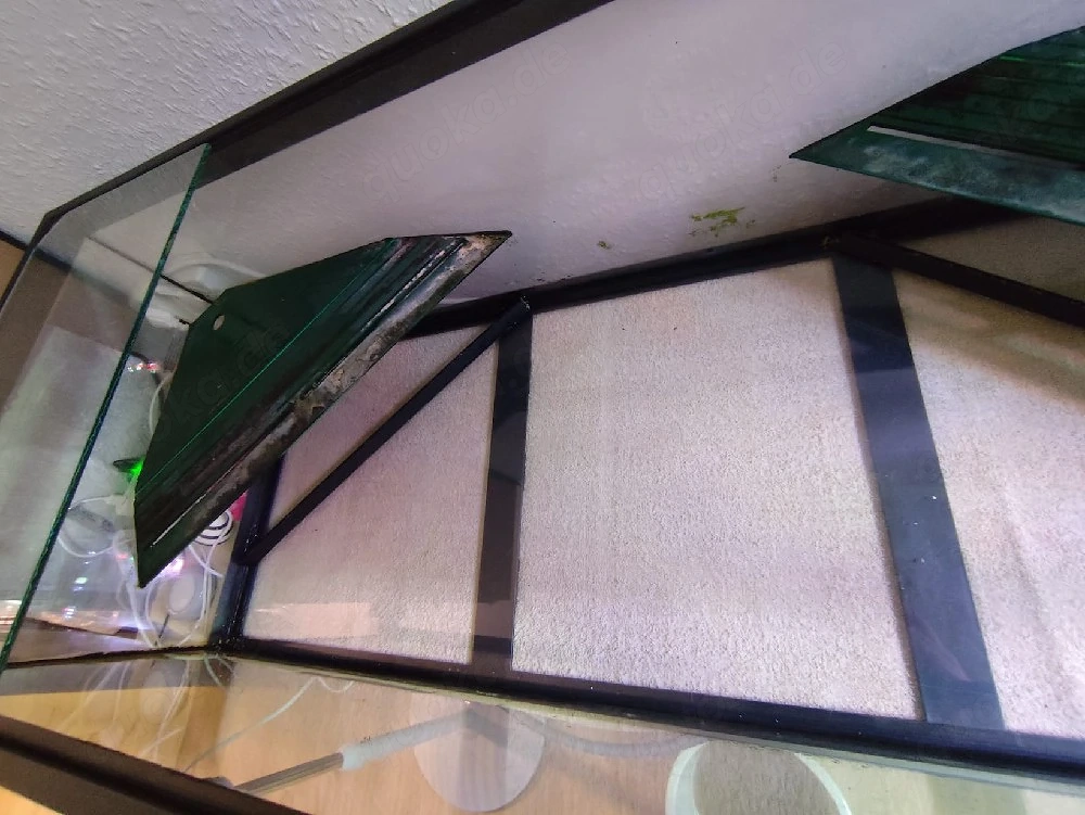Schildkröten Becken,  Aquarium 