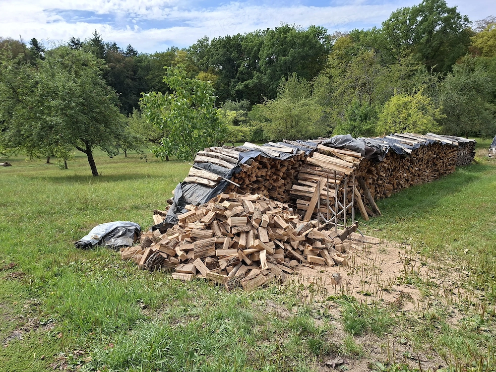 brennholz trocken