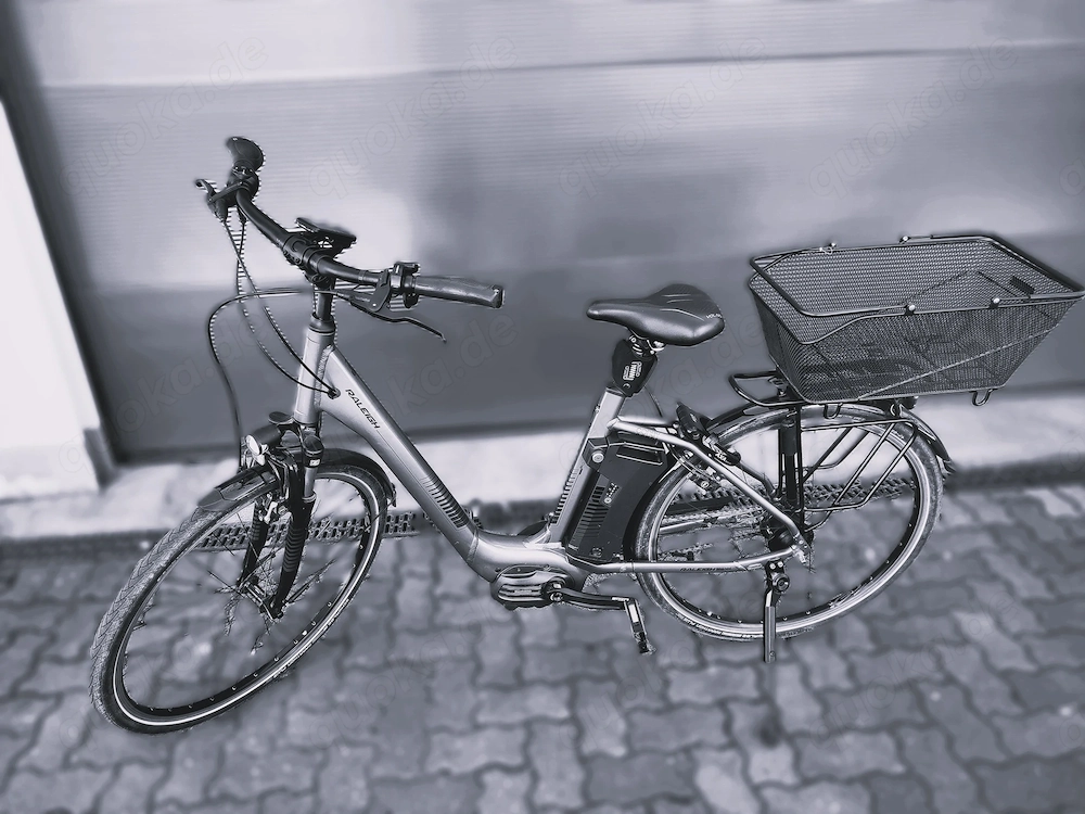 Raleigh Corby Citybike, Trekkingbike 621 WH 50 Nm