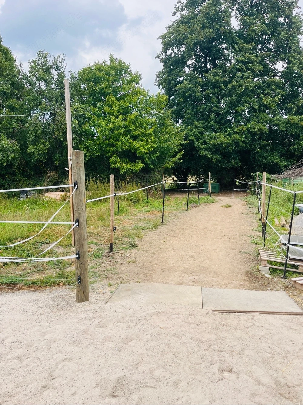 Offenstall Paddocktrail Pferd Pony Shettys
