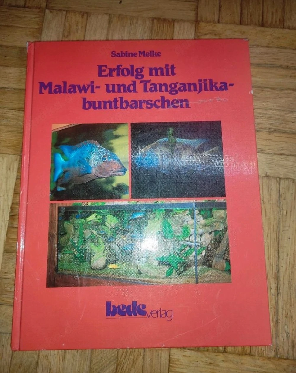 7x Aquaristik Bücher   Fische   Aquarium   Salzwasser   Süßwasser