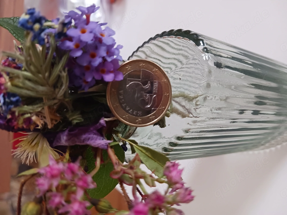 1 Euro - Europamünze HRVATSKA Marder