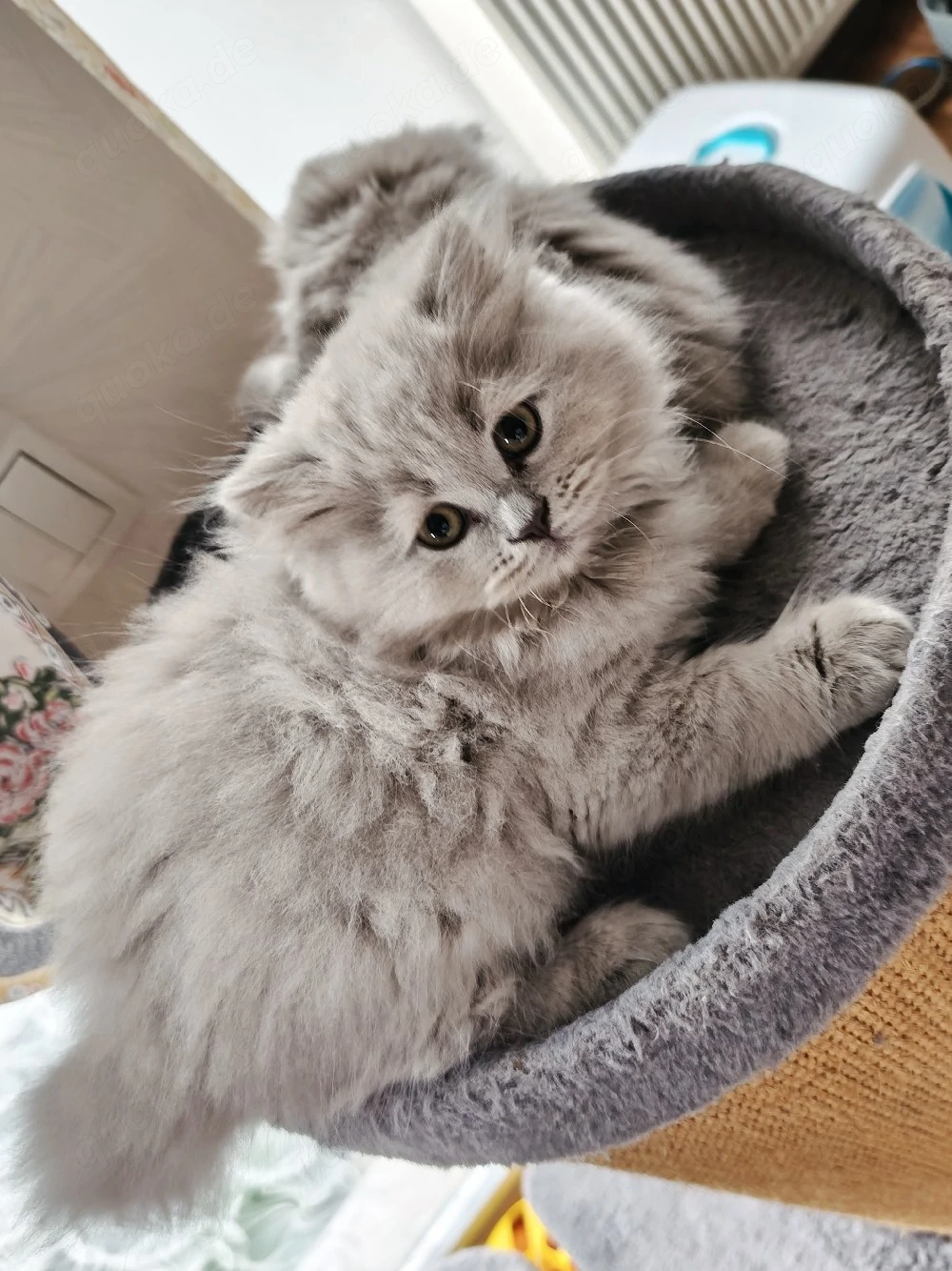 ketten BKH&BLH