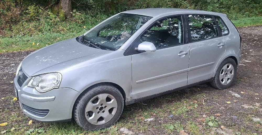 VW Polo 9n