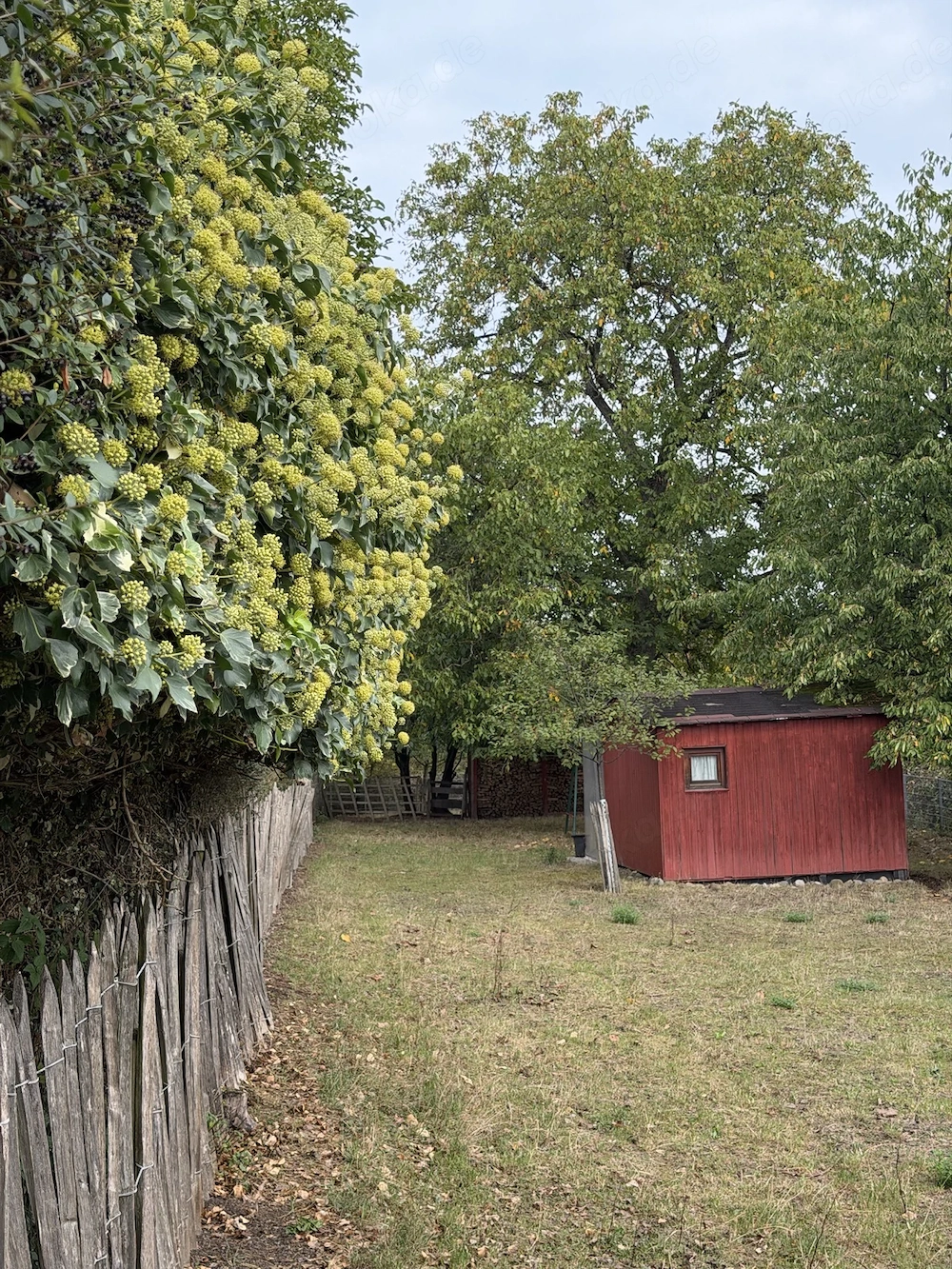 Garten Freizeitgrundstück