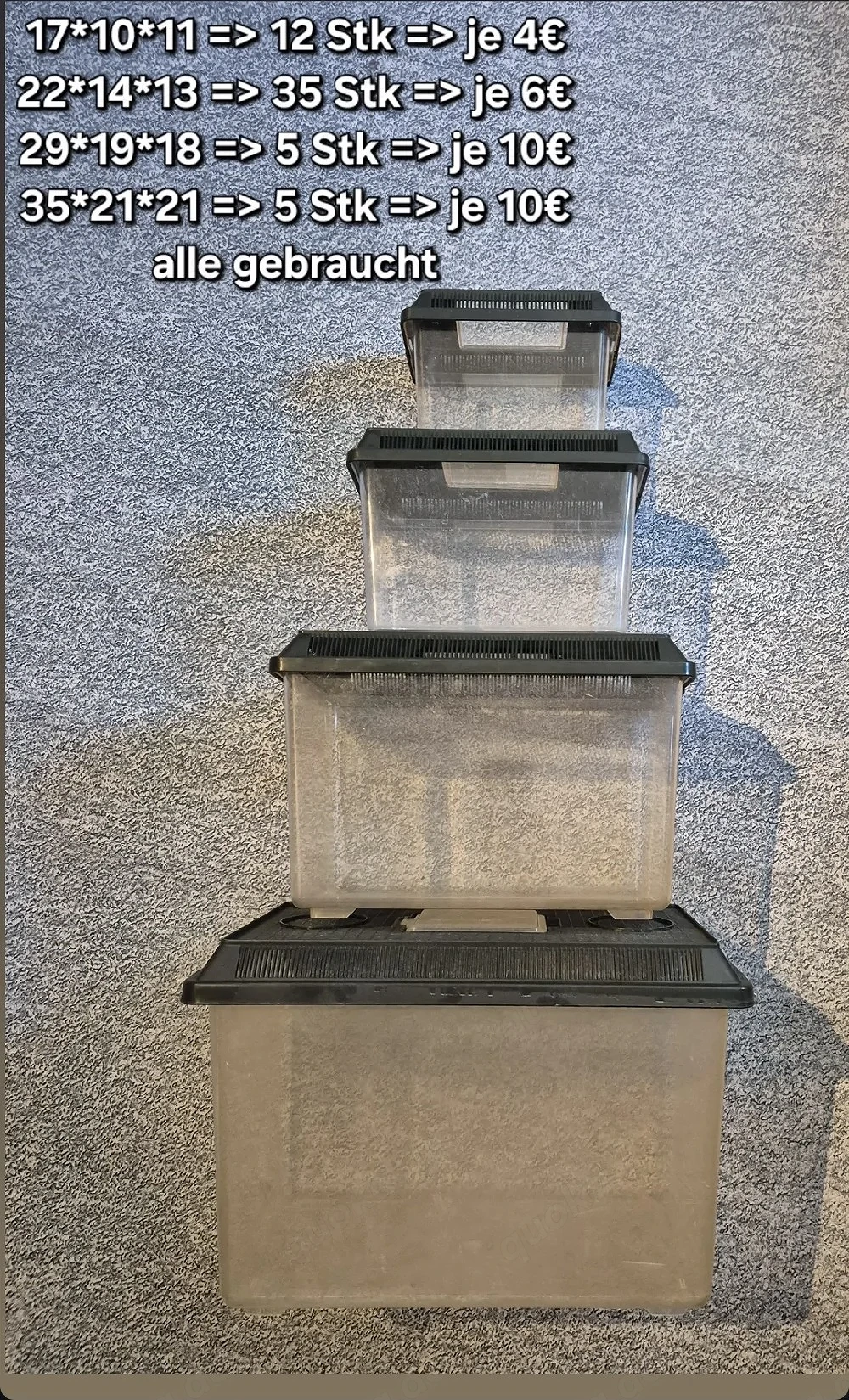 Macht mir ein Angebot: Komplett Abgabe: Terrarien usw - Kronengecko C. ciliatus