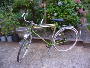 Herrenfahrrad 28 Zoll