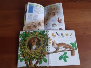 Eichhörnchen Meyers Kinderlexikon + Tierspuren lesen Bild 3