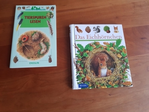 Eichhörnchen Meyers Kinderlexikon + Tierspuren lesen Bild 1