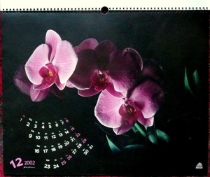 Großer Kunstkalender Blüten 2002 einzigartige, wunderschöne Fotographien von zarten Blüten Bild 6