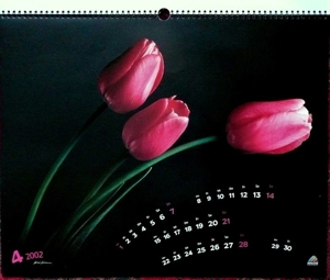 Großer Kunstkalender Blüten 2002 einzigartige, wunderschöne Fotographien von zarten Blüten Bild 4