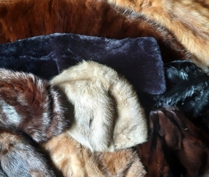 Pelz Konvolut von verschiedenen alten, schönen Pelzen Bild 18