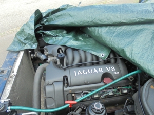 JAGUAR XJ 300 V8 BJ 3/2000 KM 168.000 TEILE VERKAUF NUR SELBSTAUS Bild 13