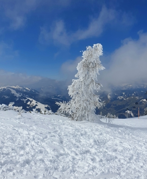 Skiurlaub Gruppe Familien Skifreizeit Kinder/Jugl. Ski Amadé 16.3.-23.3./23.3.- 30.03.24 Hp Skipass Bild 11