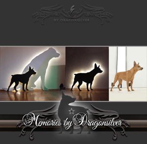 Trauerbewältigung Erinnerungsschmuck Tierhaarschmuck Goldschmiede Bild 19