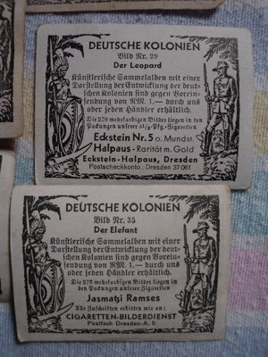 Sammelbilder Deutsche Kolonien ca. 50 Stück Bild 9