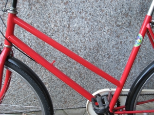 Sportliches Damen Fahrrad 26" , RH 56 cm, mit 6 Gang Ketten-Schaltung Bild 3