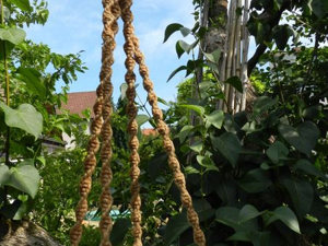 Pflanzen-Hänge-Ampel mit 2-3 Schalen Bild 4