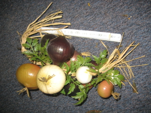 Verschiedene Gemüse-Dekorationen Bild 3