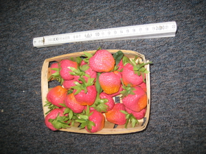 Deko Erbbeerenkörbchen